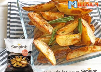 SIMPLOT RUSTICO