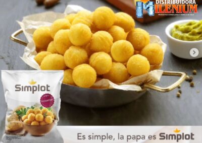 SIMPLOT NOISETTE