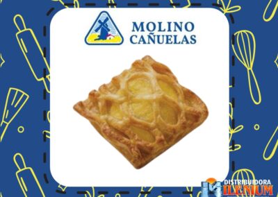 REJILLA PASTELERA MOLINOS CAÑUELA