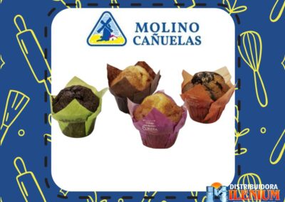 TULIPAS: CHOCOLATE, MARMOLADAS, VAINILLA Y VAINILLA CON DULCE DE LECHE MOLINOS CAÑUELA